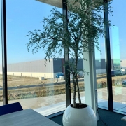 eucalyptus kantoor groen kunstgroen